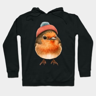 bird robin-robin in had-winter bird. Hoodie